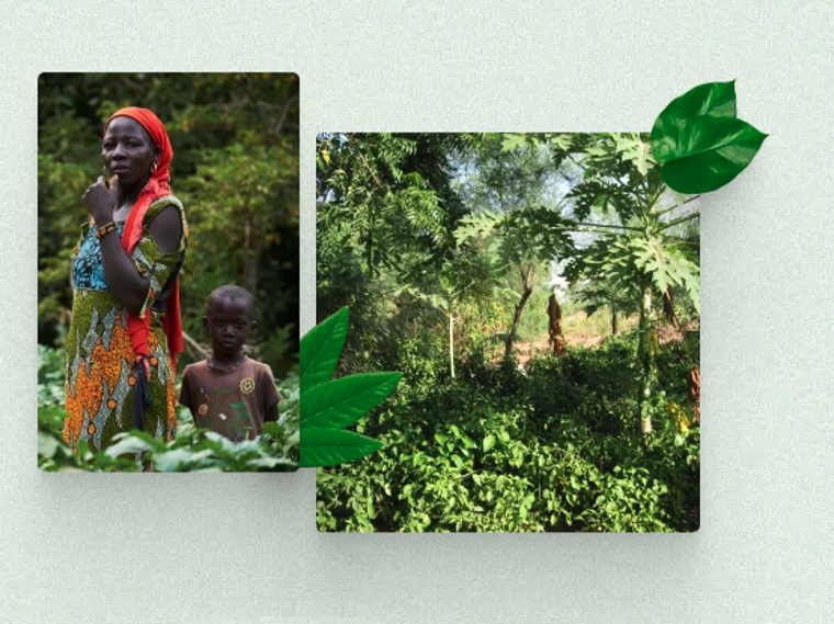 Smoking® consigue el objetivo: 150.000 árboles plantados en el África Subsahariana